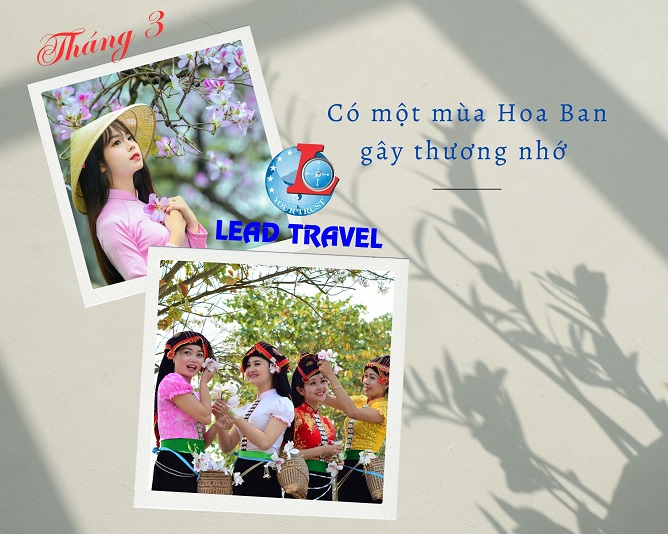 du lịch điện biên mùa hoa ban